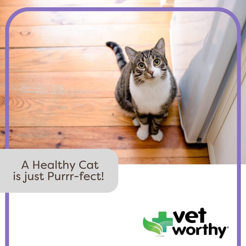 Vet Worthy Urinary Paw Gel for Cats 3 Oz.