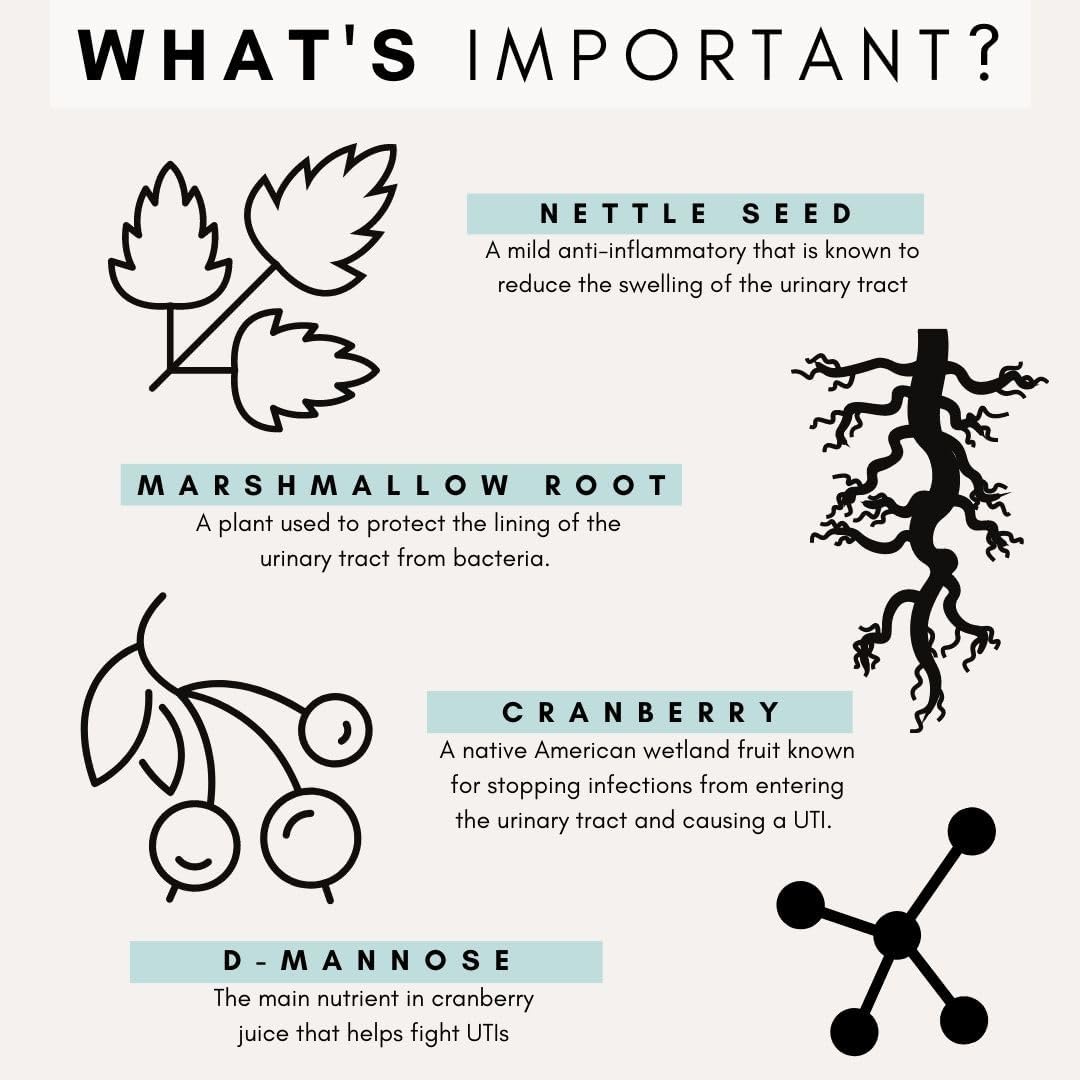 Petz Park Urinary and Kidney Powder Supplement for Cats 60 Servicios 90Gr.