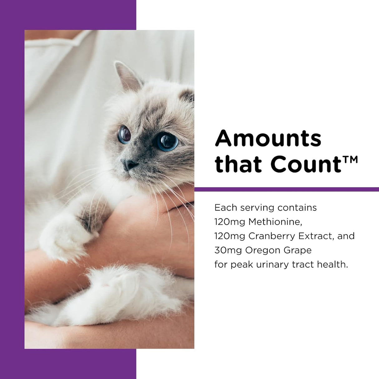 Nutri-Vet Uri-Ease Paw Gel for Cats Helps Maintain Urinary Tract Health 3 Oz.