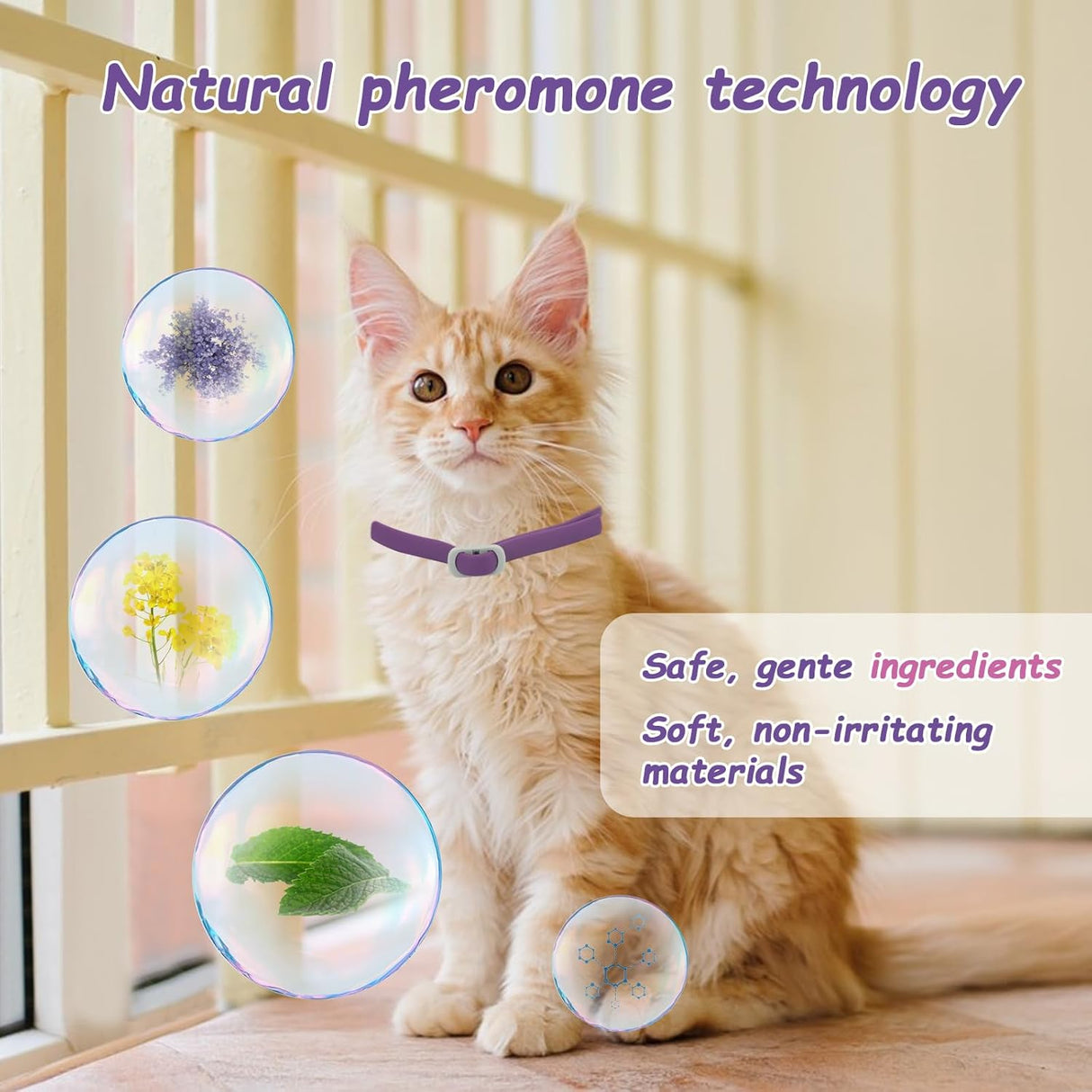 JOURNEWARD Calming Collar for Cats 4 Pack