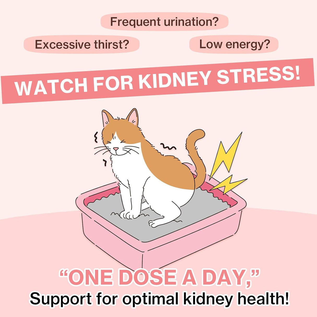 Dr.by UT Care Cat UTI Kidney Support Urinary Supplement 30 Paquetes