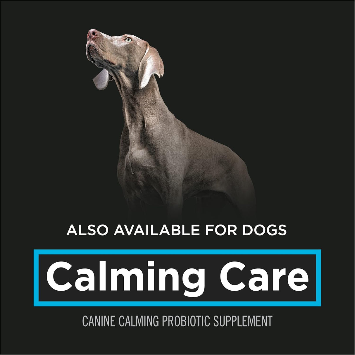 Purina Pro Plan Veterinary Supplements Calming Care Cat 30 Paquetes