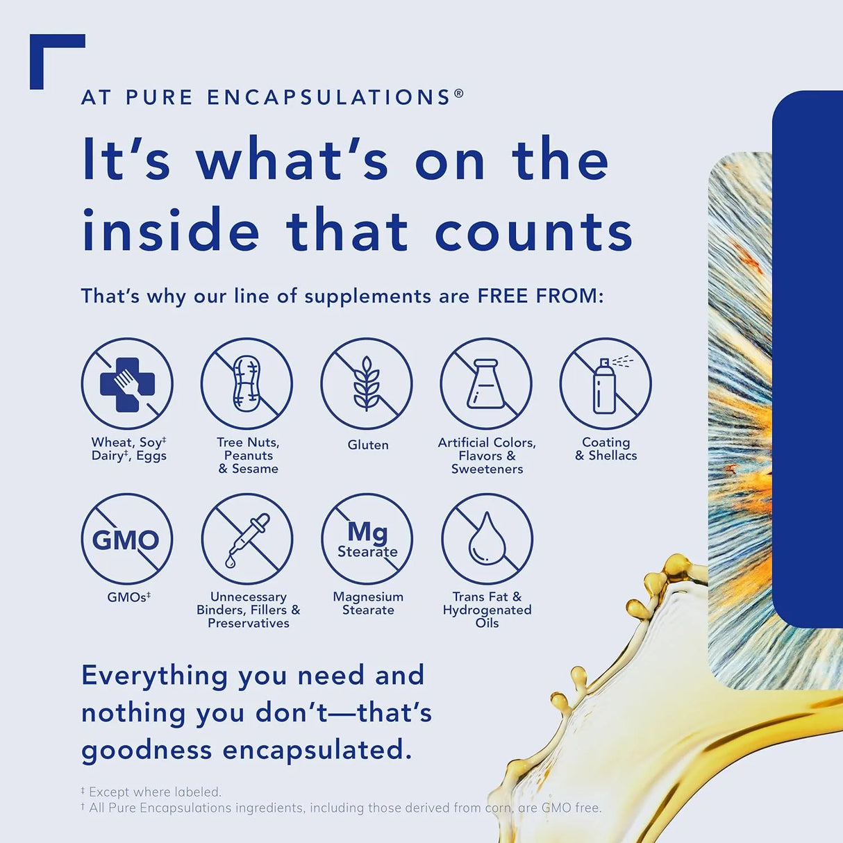 PURE ENCAPSULATIONS - Pure Encapsulations Daily Calm 60 Capsulas - The Red Vitamin MX - Suplementos Alimenticios - {{ shop.shopifyCountryName }}