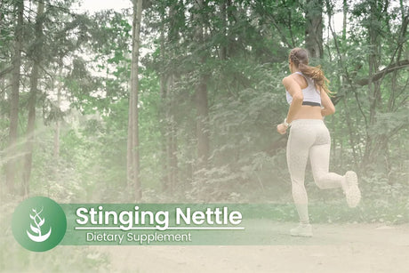 PURE ORIGINAL INGREDIENTS - Pure Original Ingredients Stinging Nettle 100 Capsulas - The Red Vitamin MX - Suplementos Alimenticios - {{ shop.shopifyCountryName }}