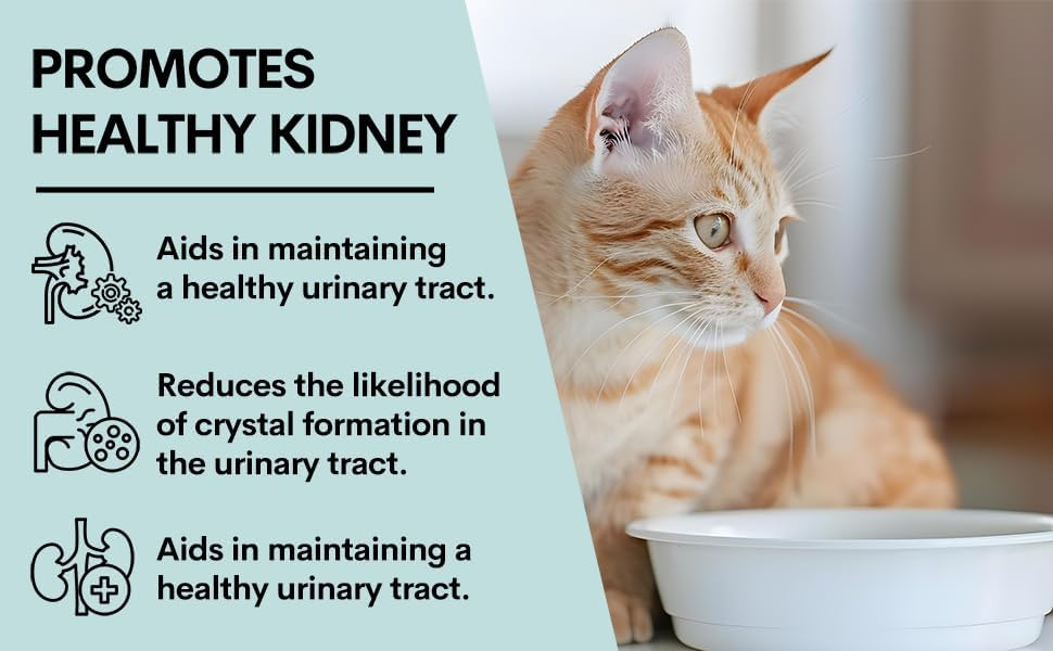 Petz Park Urinary and Kidney Powder Supplement for Cats 60 Servicios 90Gr.