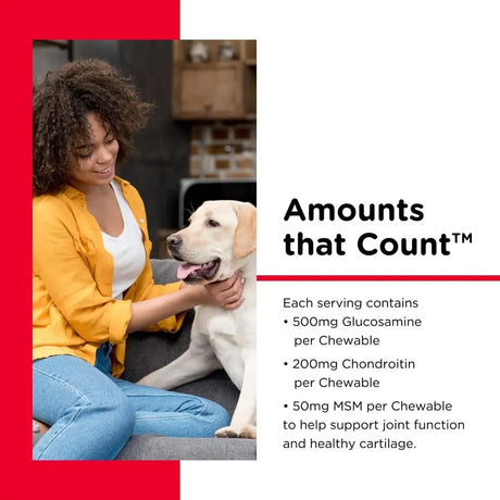 NUTRI-VET - Nutri-Vet Hip & Joint Chewable Dog Extra Strength 120 Tabletas Masticables - The Red Vitamin MX - Cuidado De Cadera Y Articulaciones Para Perros - {{ shop.shopifyCountryName }}