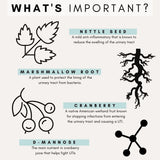 Petz Park Urinary and Kidney Powder Supplement for Cats 60 Servicios 90Gr.