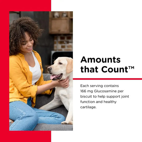 NUTRI-VET - Nutri-Vet Hip & Joint Biscuits for Dogs 454Gr. - The Red Vitamin MX - Cuidado De Cadera Y Articulaciones Para Perros - {{ shop.shopifyCountryName }}