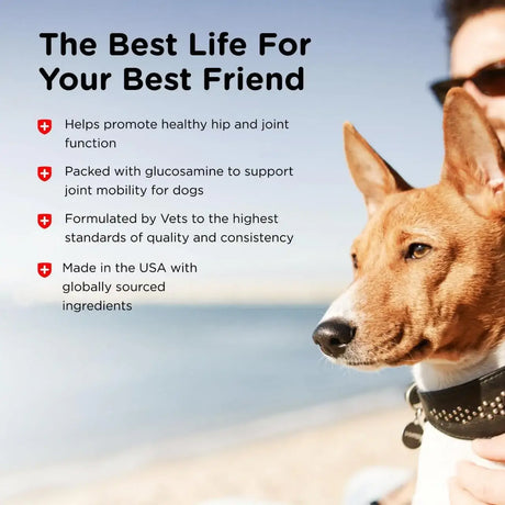 NUTRI-VET - Nutri-Vet Hip & Joint Biscuits for Dogs 454Gr. - The Red Vitamin MX - Cuidado De Cadera Y Articulaciones Para Perros - {{ shop.shopifyCountryName }}