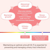 Dr.by UT Care Cat UTI Kidney Support Urinary Supplement 30 Paquetes