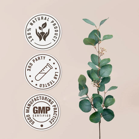 GARDEN ORGANICS - Garden Organics Lemon Balm Alcohol-Free Natural Tincture Extract 2 Fl.Oz. - The Red Vitamin MX - Suplementos Alimenticios - {{ shop.shopifyCountryName }}