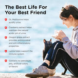 Nutri-Vet Uri-Ease Paw Gel for Cats Helps Maintain Urinary Tract Health 3 Oz.