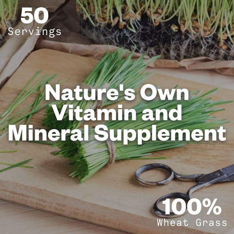 PURISURE - Purisure Wheatgrass Powder 150Gr. - The Red Vitamin MX - Suplementos Alimenticios - {{ shop.shopifyCountryName }}