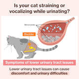 Dr.by UT Care Cat UTI Kidney Support Urinary Supplement 30 Paquetes