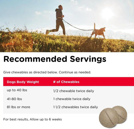 NUTRI-VET - Nutri-Vet Hip & Joint Chewable Dog Regular Strength 75 Tabletas Masticables - The Red Vitamin MX - Cuidado De Cadera Y Articulaciones Para Perros - {{ shop.shopifyCountryName }}