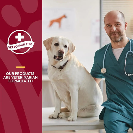 NATURVET - NaturVet Cranberry Relief Plus Echinacea 120 Masticables - The Red Vitamin MX - Salud De Tracto Urinario Para Perros - {{ shop.shopifyCountryName }}