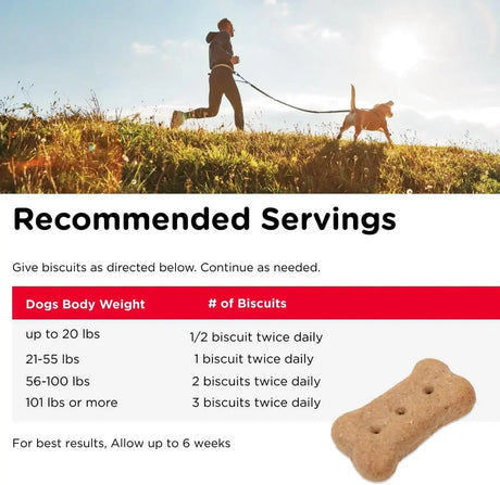NUTRI-VET - Nutri-Vet Hip & Joint Biscuits for Dogs 454Gr. 2 Pack - The Red Vitamin MX - Cuidado De Cadera Y Articulaciones Para Perros - {{ shop.shopifyCountryName }}