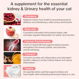 Dr.by UT Care Cat UTI Kidney Support Urinary Supplement 30 Paquetes