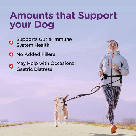 NUTRI-VET - Nutri-Vet Bladder Control 90 Tabletas - The Red Vitamin MX - Salud De Tracto Urinario Para Perros - {{ shop.shopifyCountryName }}