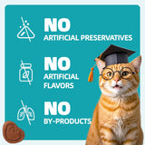 Wellix Urinary Tract Health Supplement Cat Treats 13.5 Oz.