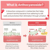 Dr.by UT Care Cat UTI Kidney Support Urinary Supplement 30 Paquetes