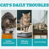 Wellix Urinary Tract Health Supplement Cat Treats 13.5 Oz.