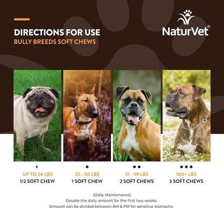 NATURVET - NaturVet Bulldog Breed Supplement 50 Masticables - The Red Vitamin MX - Multivitamínicos Para Perros - {{ shop.shopifyCountryName }}