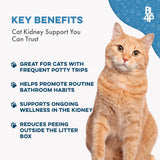 BestLife4Pets Cat UTI Remedy & Kidney Support for Cats 400 Tabletas