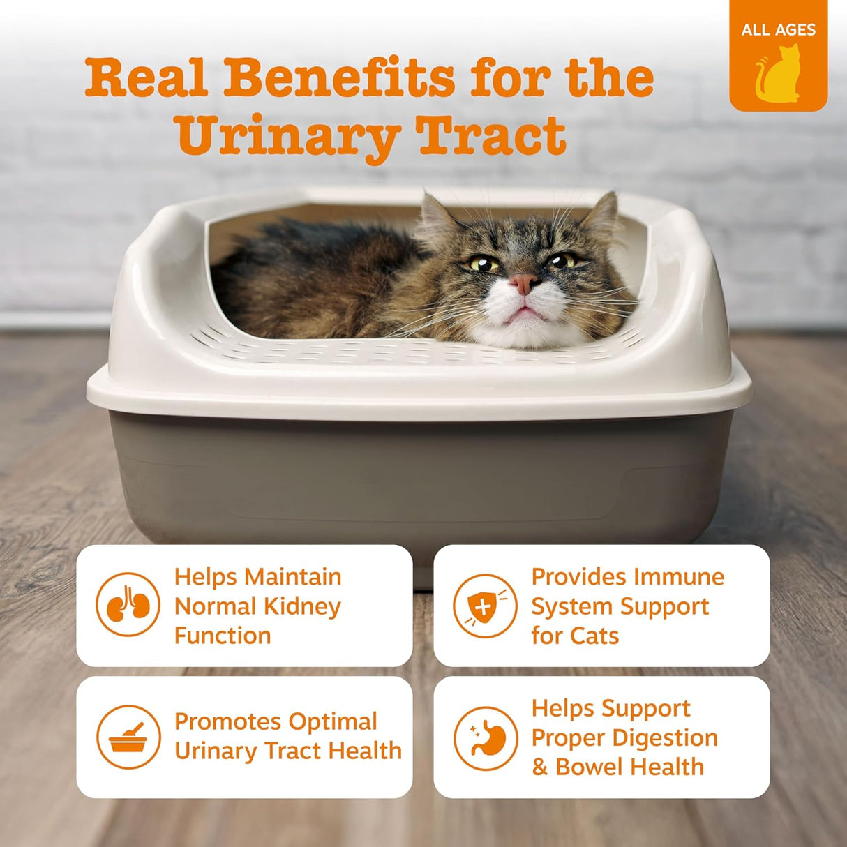 Zesty Paws Urinary Tract Cat Mousse 14 Paquetes