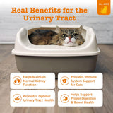 Zesty Paws Urinary Tract Cat Mousse 14 Paquetes