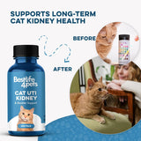 BestLife4Pets Cat UTI Remedy & Kidney Support for Cats 400 Tabletas