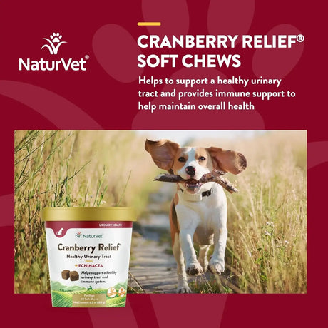 NATURVET - NaturVet Cranberry Relief Plus Echinacea 60 Masticables - The Red Vitamin MX - Salud De Tracto Urinario Para Perros - {{ shop.shopifyCountryName }}