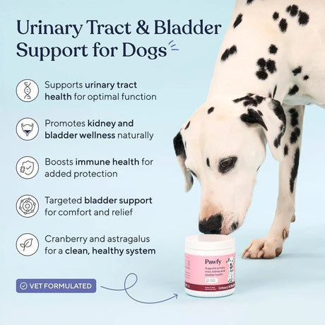 PAWFY - Pawfy Dog UTI Supplement 30 Masticables - The Red Vitamin MX - Salud De Tracto Urinario Para Perros - {{ shop.shopifyCountryName }}