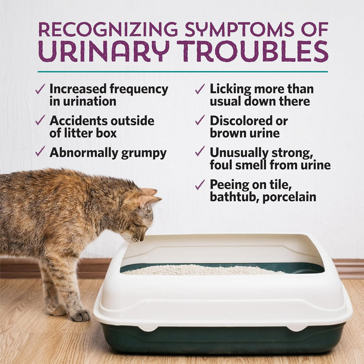 Meowbiotics Kitty P. Freely Cat Urinary Supplement 30 Day Supply