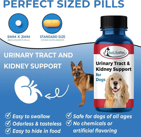 BESTLIFE4PETS - BestLife4Pets Dog UTI Treatment 400 Tabletas 2 Pack - The Red Vitamin MX - Salud De Tracto Urinario Para Perros - {{ shop.shopifyCountryName }}