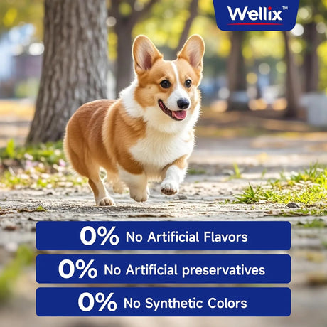 WELLIX - Wellix Omega 3 Fish Oil for Dogs 250Ml. - The Red Vitamin MX - Aceite De Pescado Para Perros - {{ shop.shopifyCountryName }}