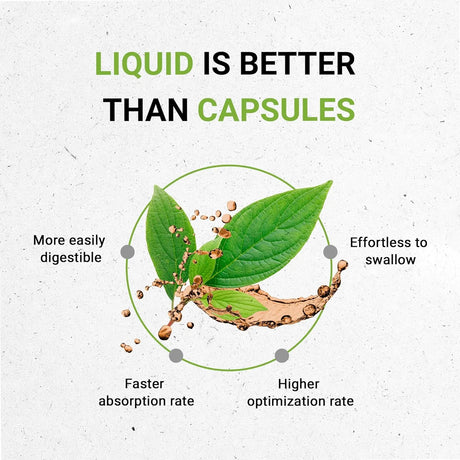 SECRETS OF THE TRIBE - Secrets of the Tribe Lemon Balm Tincture 2 Fl.Oz. - The Red Vitamin MX - Suplementos Alimenticios - {{ shop.shopifyCountryName }}