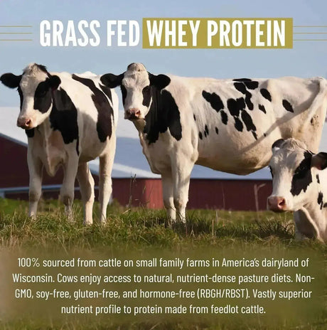 B.RAD - B.rad Grass Fed Whey Protein Isolate Powder with Creatine Cocoa Bean 907Gr. - The Red Vitamin MX - Suplementos Alimenticios - {{ shop.shopifyCountryName }}