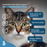 BestLife4Pets Cat UTI Remedy & Kidney Support for Cats 400 Tabletas