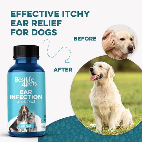 BESTLIFE4PETS - BestLife4Pets Itch Relief and Ear Infection Treatment for Dogs & Cats 400 Pastillas - The Red Vitamin MX - Cuidado Del Oído De Perros - {{ shop.shopifyCountryName }}