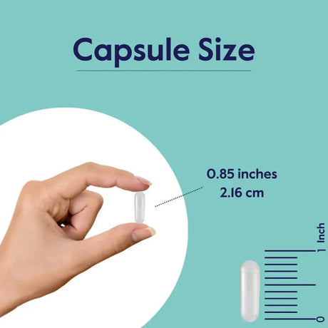 BESTVITE - BESTVITE Cognizin Citicoline 500Mg. 60 Capsulas - The Red Vitamin MX - Suplementos Alimenticios - {{ shop.shopifyCountryName }}