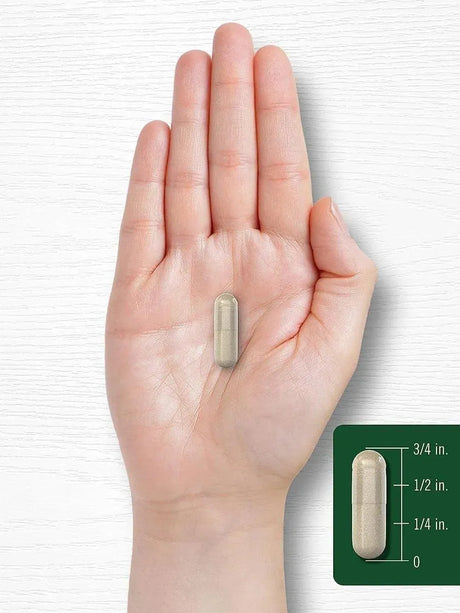 CARLYLE - Carlyle Milk Thistle 2000Mg. 180 Capsulas - The Red Vitamin MX - Suplementos Alimenticios - {{ shop.shopifyCountryName }}