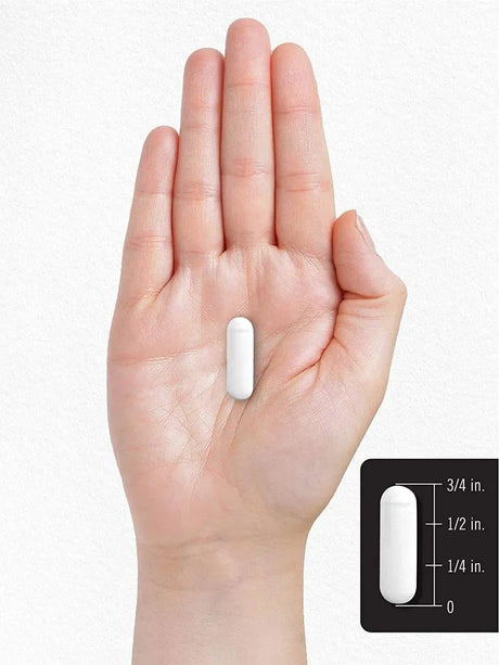 CARLYLE - Carlyle Serrapeptase 120,000 SPU 120 Capsulas - The Red Vitamin MX - Suplementos Alimenticios - {{ shop.shopifyCountryName }}