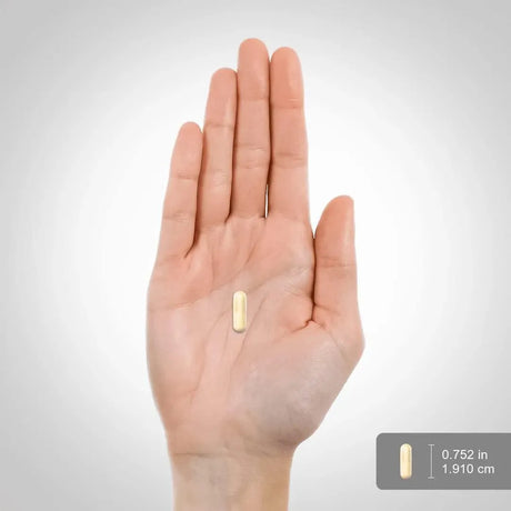 PIPING ROCK - Piping Rock Saffron Extract 60 Capsulas - The Red Vitamin MX - Suplementos Alimenticios - {{ shop.shopifyCountryName }}