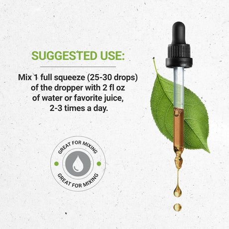 SECRETS OF THE TRIBE - Secrets of the Tribe St. John's Wort Tincture Alcohol-Free Liquid Extract 2 Fl.Oz. - The Red Vitamin MX - Suplementos Alimenticios - {{ shop.shopifyCountryName }}