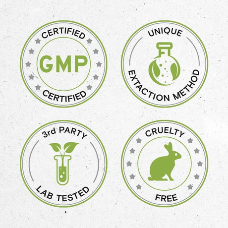 SECRETS OF THE TRIBE - Secrets of the Tribe St. John's Wort Tincture Alcohol-Free Liquid Extract 4 Fl.Oz. - The Red Vitamin MX - Suplementos Alimenticios - {{ shop.shopifyCountryName }}