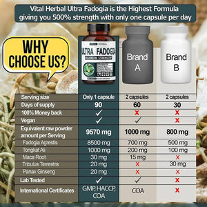 VITAL HERBAL - Vital Herbal Ultra Fadogia Agrestis 10:1 Extract Tongkat Ali 9570Mg. 90 Capsulas - The Red Vitamin MX - Suplementos Alimenticios - {{ shop.shopifyCountryName }}