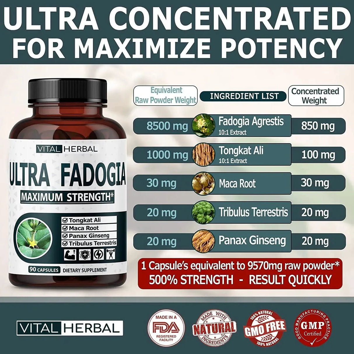 VITAL HERBAL - Vital Herbal Ultra Fadogia Agrestis 10:1 Extract Tongkat Ali 9570Mg. 90 Capsulas - The Red Vitamin MX - Suplementos Alimenticios - {{ shop.shopifyCountryName }}