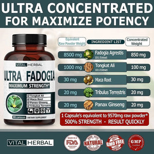 VITAL HERBAL - Vital Herbal Ultra Fadogia Agrestis 10:1 Extract Tongkat Ali 9570Mg. 90 Capsulas - The Red Vitamin MX - Suplementos Alimenticios - {{ shop.shopifyCountryName }}